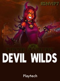 Devil Wilds game cover