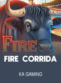 Fire Corrida game cover